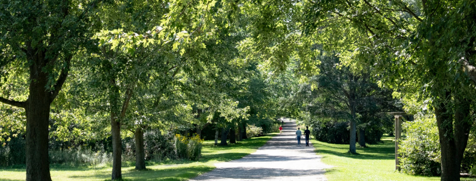 Landscape view of a walkway in the Arboretum surrounded by lush green trees