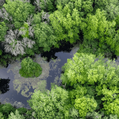 University of Guelph Arboretum Aerial View