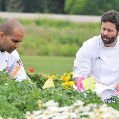 University of Guelph chefs working in a garden, examining fresh produce for Food Day Canada.