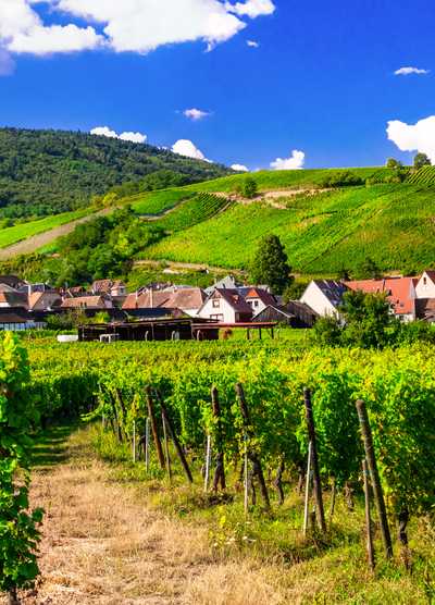 Picturesque vineyards in Alsace with a charming village nestled against lush green hills under a bright blue sky.